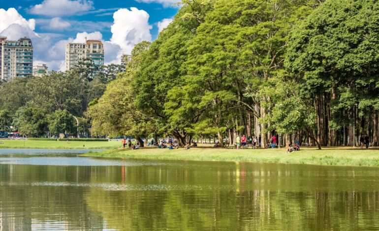  Sustentabilidade: cidades do interior paulista que lideram a transição verde