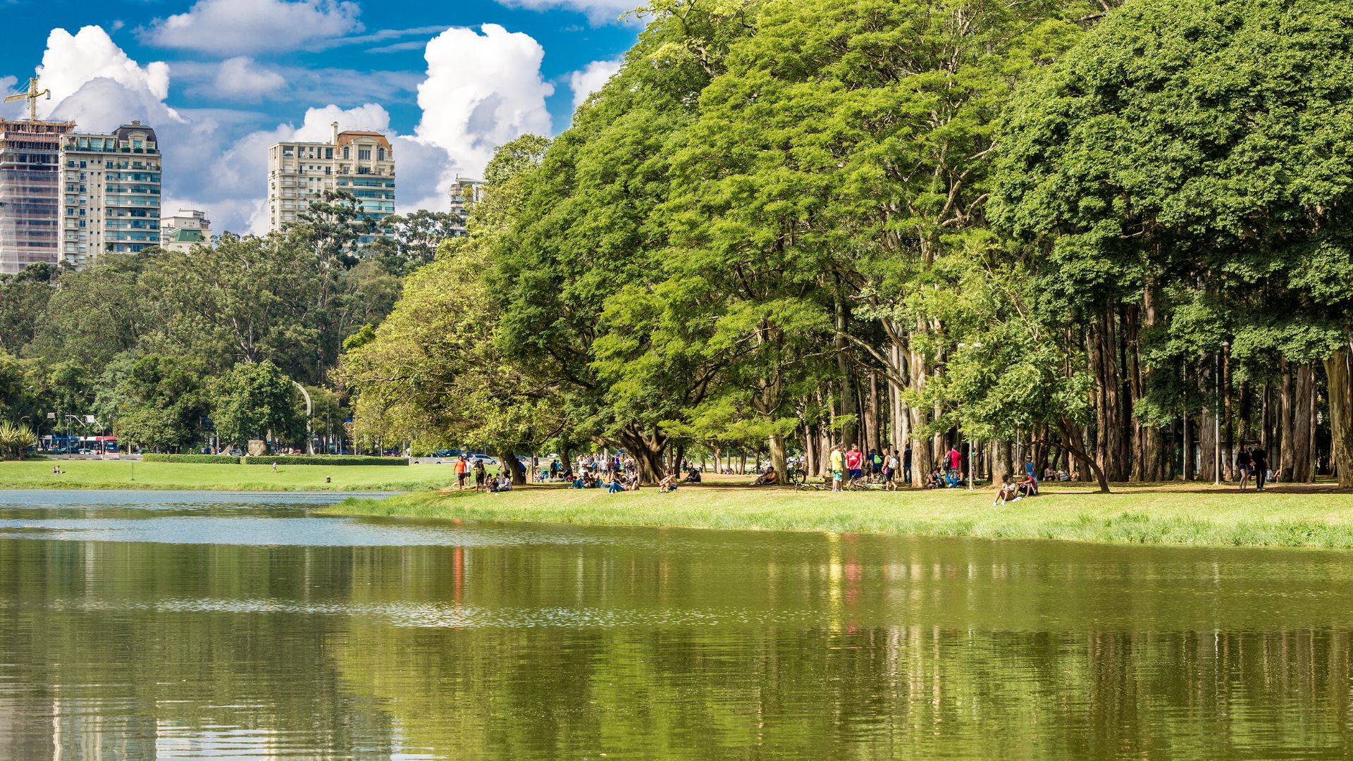 Sustentabilidade: cidades do interior paulista que lideram a transição verde